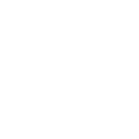 google icon